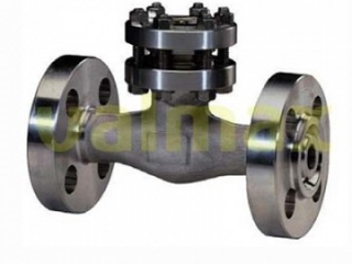 Check Valve, 600 LB, 1/2 Inch, Piston type, Bolted Cap