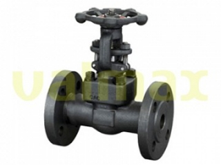 Gate Valve, 300 LB, RF, 1/2 Inch, Rising Stem, OS&Y