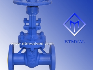 ETM GATE VALVE