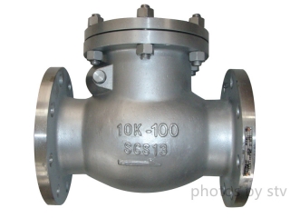 SCS13 Swing Check Valve,4 Inch,Jis10K,FF End