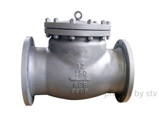 Swing Check Valve Class 150LB,5 Trim, 12 Inch, Raised Face