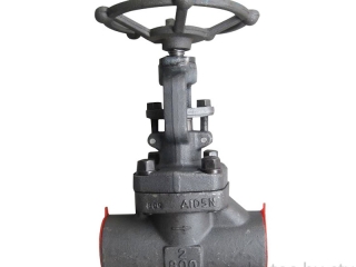 Globe Valve Class 800LB , A105 Body , 316 Trim , BB , OS&Y , SW ,Size 2"