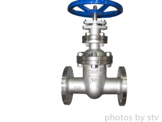 SS317L Gate Valve ,DN 65, PN 16 RF , DIN Standard