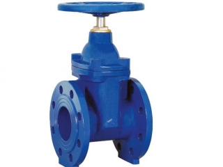 DIN Cast Iron F4 Resilient Gate Valve