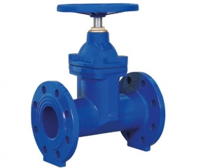 DIN Cast Iron F5 Resilient Gate Valve