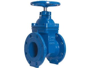 SABS664 Resilient Gate Valve