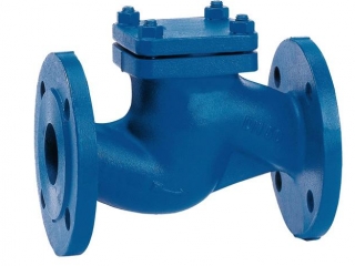 DIN Cast Iron Lift Check Valve