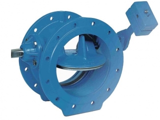 DIN TILTING CHECK VALVE
