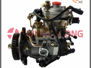 Ve Injection Pump for Diesel Engine Jx493q1 Gw4d28