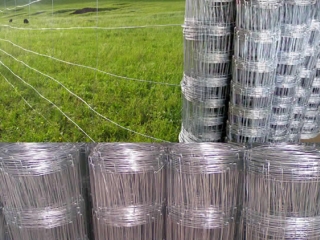 Field Fence