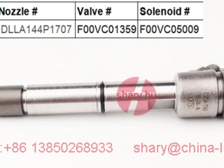 Nozzle Exporter common rail injector valve cap-common rail injector and heui injector