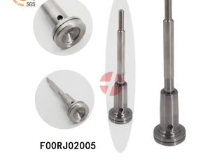 vw injector rebuild bosch valve F00RJ02005 nozzle injector delphi